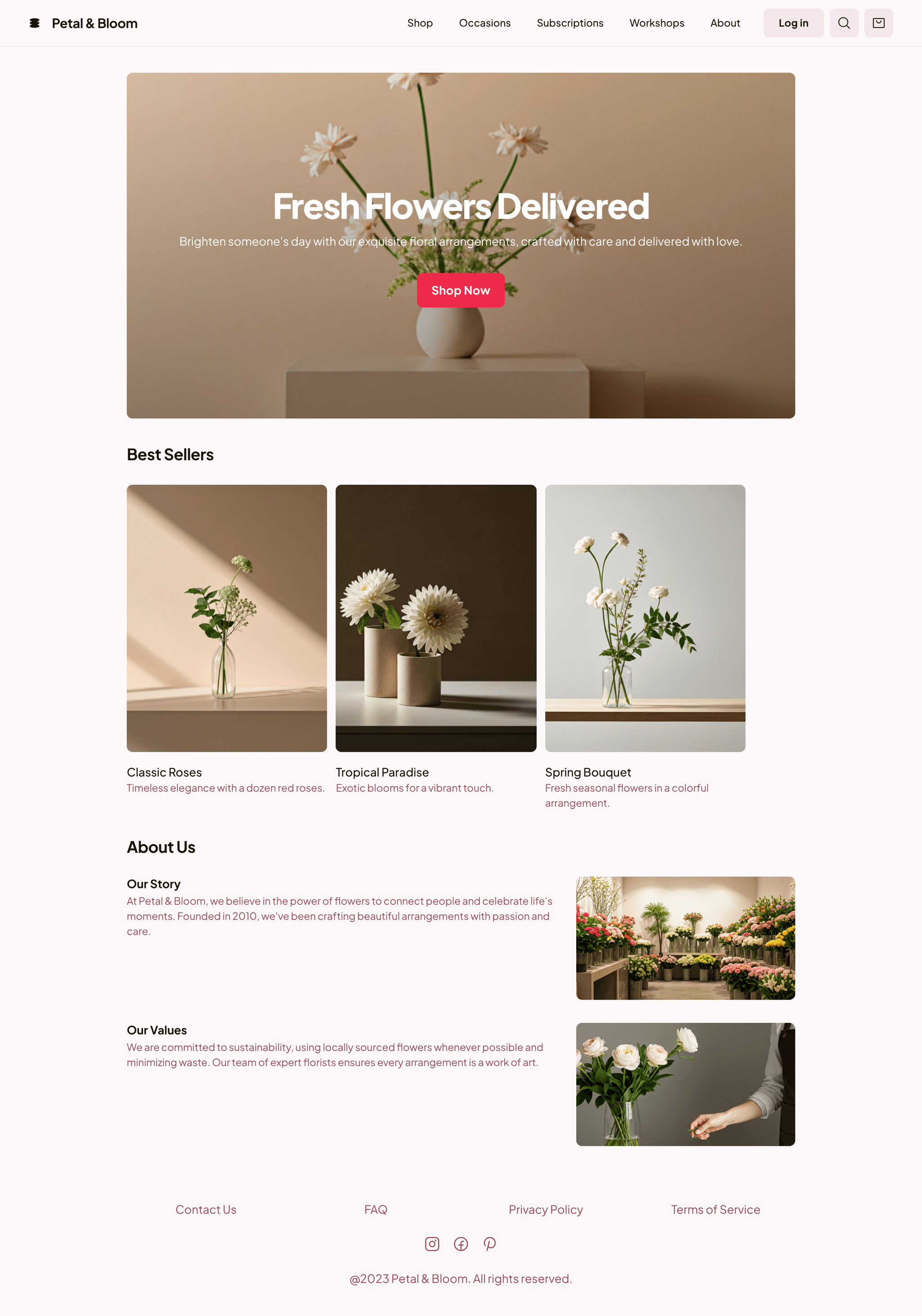 Website Design